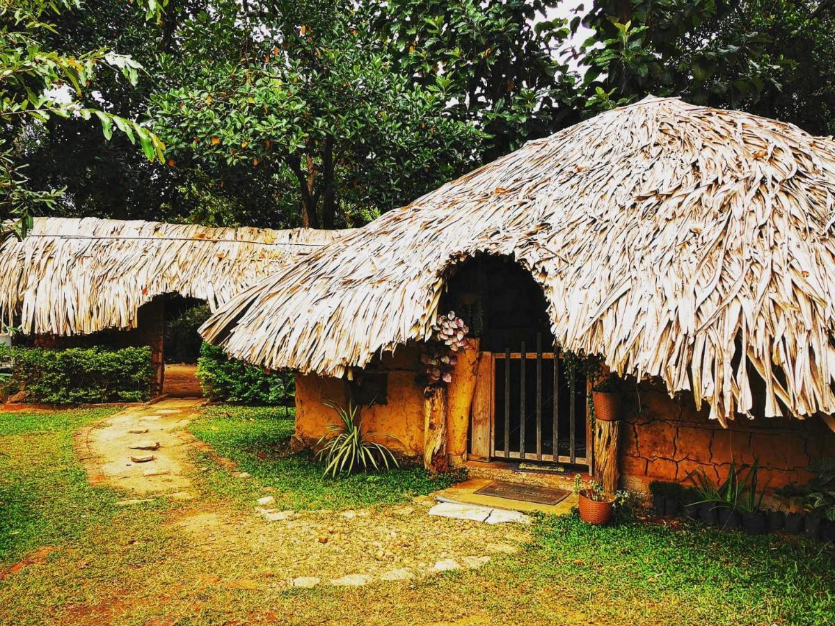Hasthi Safari Cottage Udawalawe Ngoại thất bức ảnh