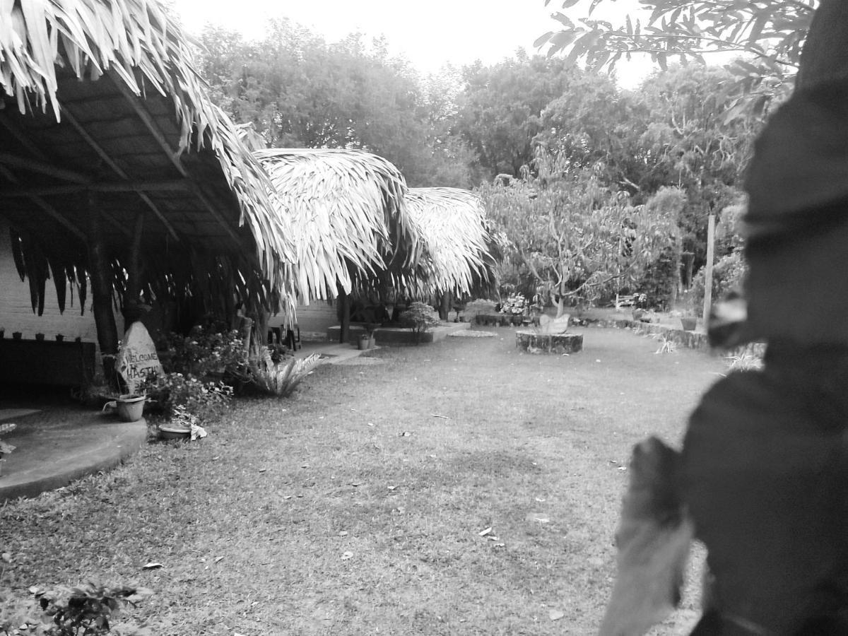 Hasthi Safari Cottage Udawalawe Ngoại thất bức ảnh