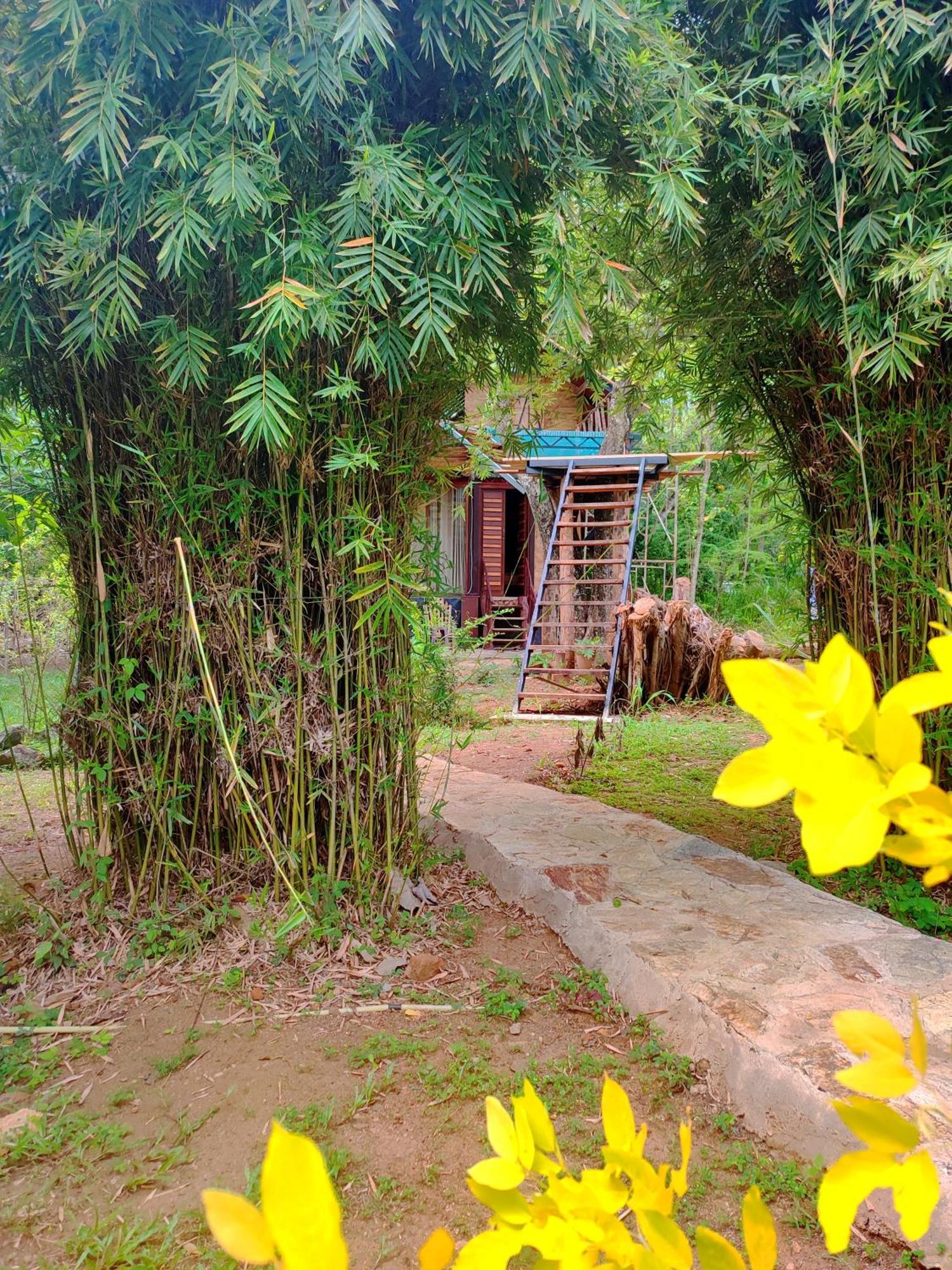 Hasthi Safari Cottage Udawalawe Ngoại thất bức ảnh