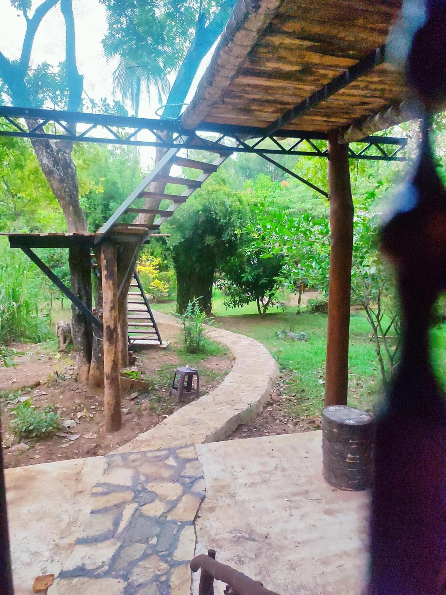 Hasthi Safari Cottage Udawalawe Ngoại thất bức ảnh