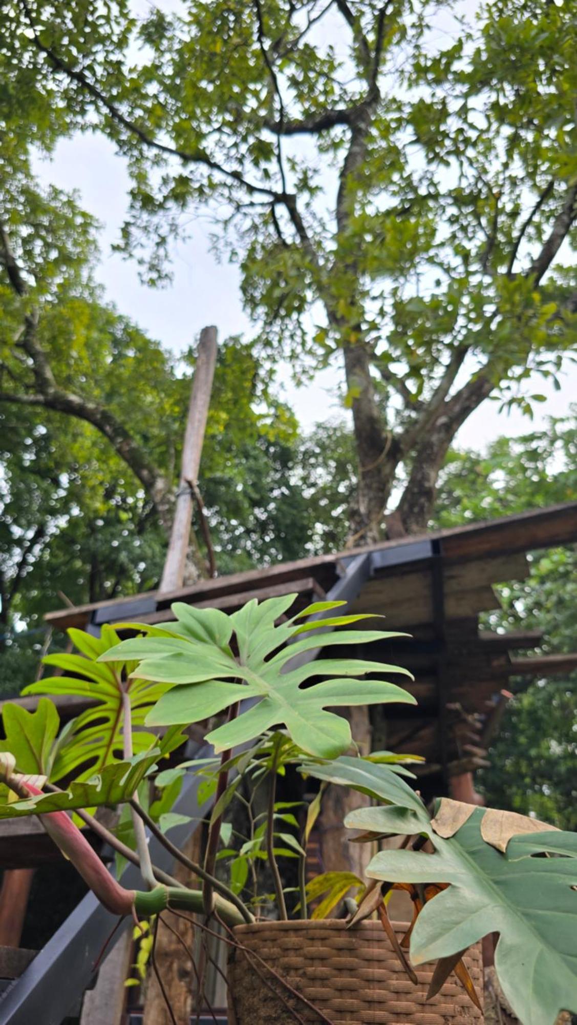 Hasthi Safari Cottage Udawalawe Ngoại thất bức ảnh